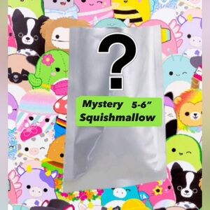 Squishmallows 1 Mystery 5-6” Squishmallow/Blind Bag